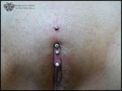 pussymodsgalore:  pussymodsgaloreA Christina piercing (top) and a VCH piercing, both with decorative curved barbells.The original poster says: “  Christina and Vch piercing. Jewelry from isbodyjewelry and anatometal !  “.