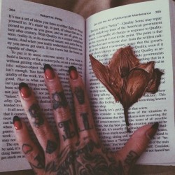jennalikewhoaa:  I totally forgot that I kept my corsage from @zombiegogo wedding in-between pages in a book I’m reading. 