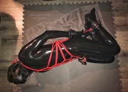 boyryan54:Another shot from my ball busting gimp session with @justakink.