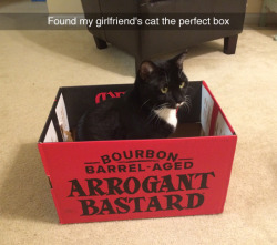 skip-supports-ships: wanderingquill:  skip-supports-ships:  tastefullyoffensive: (photo via Hoodie59) @wanderingquill look Tina found a box for Percival  YuP. Percy can’t even get pissy because that no-maj booze is delicious.  “ Tina give me a blanket