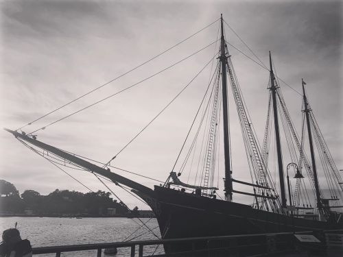 Ship #sf #sanfrancisco  (at San Francisco Maritime National Park Association) https://www.instagram.com/p/B5CQYAUA2vZ/?igshid=1nmbqnut2pdp1