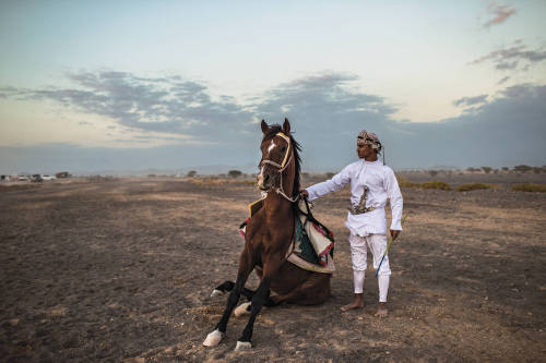 canteringdreams:  The Horses That Changed HistoryBeyond the modern skylines of Arabia and into the ancient expanse of Oman on the trail of the horses that started it all
