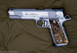 badger-actual:  Dan Wesson Pointman 9, 9mm Luger.