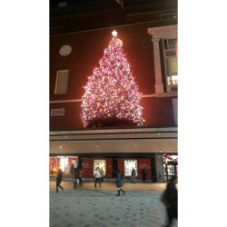 #Macy&rsquo;s Christmas Tree #Downtown #Boston