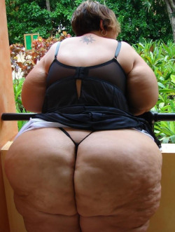 ssbbwchicklover:  Nice ass   80  inches in a tight thong&hellip; Asshley aka Big Butt Asshley 			Measurements: (??-??-81) 			Bust: ? 			5'03&quot; [1] 			 			450 [1] 			 			204 kg 			BMI: 79.7  /- 		
