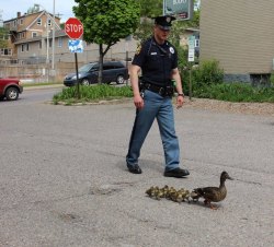 awwww-cute:  Police escort in my hometown 