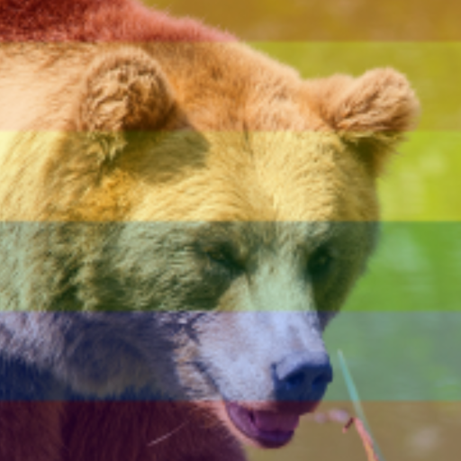 the-dao-of-the-zerg:fortooate: specialstarfish:  teojida:  reigenaratakaspisskink:  she-was-a-skater-gay:   reigenaratakaspisskink:  trans bears are literally stronger than any US marine  How on earth would they be able to tell that a bear is trans. I’m