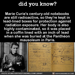 govthookercoulson: did-you-kno:  Marie Curie’s century-old notebooks  are still radioactive, so they’re kept in  lead-lined boxes for protection against  radiation exposure.   Photo via: Wellcome Library, London   Anyone wishing to handle her notebooks,