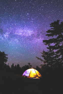 wavemotions:  Camping with the stars