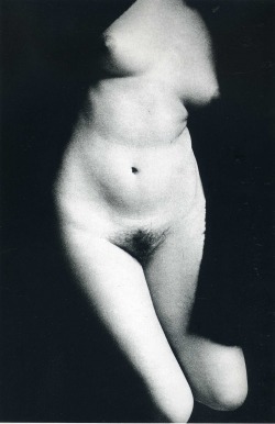 foxesinbreeches:  Untitled (Sandra Nude) by Ralph Gibson, 1967 Also 