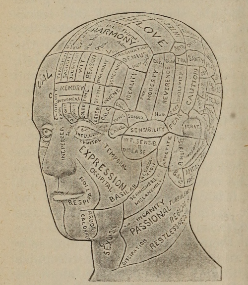 nemfrog:  Tattoo inspiration. Buchanan’s journal of man. November 1887.Internet Archive