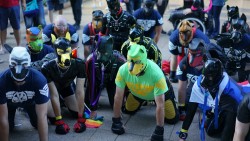 noodlesandbeef:  Getting ready for the parade. I’m a guest handler for the famous Sirius Pup Pack. Surreal ordering twenty pups to kneel for me.  Australian pups are very good.   It was amazing hosting you and Jack, Dylan. Sirius Pups always welcome