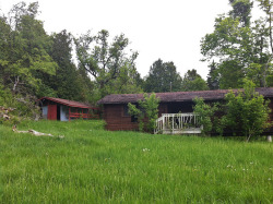churchrummagesale:   Camp Bolton (the abandoned summer camp)   
