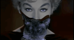 cinegif:  Kim Novak and Pyewacket in Bell, Book and Candle | 1958