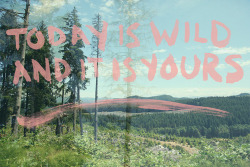 Today is wild and it is yours