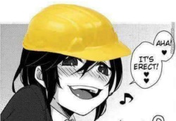 judeo-christian-values:  dio-brando-did-nothing-wrong:  this-is-cthulhu-privilege:  tfw when you’re an engineer and you just finished a building.  isnt this hentai?  No, its tfw when you’re an engineer and you just finished a building.   