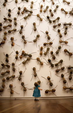 wetheurban:  ART: Invasive Ant Art Installations by Rafael Gómezbarros This is equally terrifying as it is oddly amusing. Since 2007, sculptor Rafael Gómezbarros has brought his invasive swarm of giant ants to public buildings of his native Columbia.