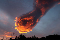 salahmah:  On Monday, the Portuguese were stunned by a terrifying cloud over the island of Madeira. The bright orange formation looked as if it was a burning clenched fist 