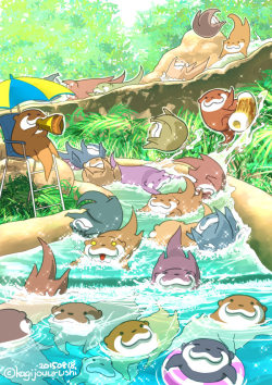 kagijouurushi:    Otter water slide   