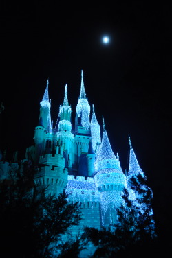  An icy Cinderella Castle by moonlight, 11/5/14 