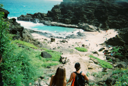 w-a-n-d-r-lust:  emesre:  cockroach cove from my disposable camera  so good 