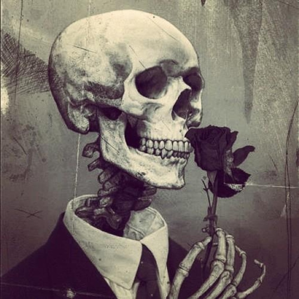 Black Roses Wallpaper Tumblr