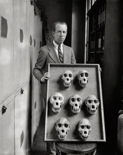 Man with skull display, Washington, D.C., circa 1927.