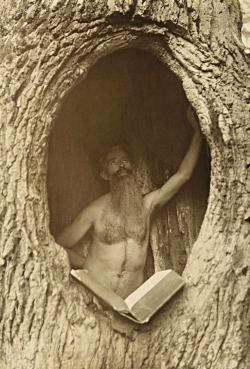 Man in the tree, c. 1900.