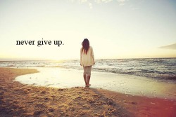 never ever ever give up