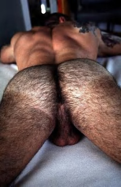 Hairy Hunks           View Post