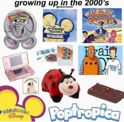 sil-houttevenus: sozinsupportblog: I literally had the exact same pillow pet I hate this  I still have my pink nitendo dsi. We need to reboot brainpop, and I still eat those good ass brownies 50cents each.  