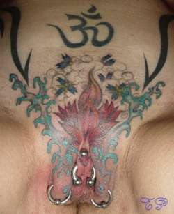pussymodsgalore  Pierced pussy with tattoo. Two outer labia piercings with rings, a horizontal clithood piercing (HCH) with curved barbell.The stud at the top is more of a mystery to me as I cannot see the other end of the jewelry. Is it a VCH with barbel