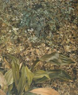Lucian Freud (Berlin 1922 - London 2011); Two Plants, begun in 1977 and completed in 1980; oil on canvas, 120 x 150 cm; Tate, London