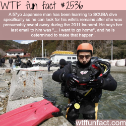 wtf-fun-factss:  Japanese man learns SKUBA to find his dead wife - WTF fun facts