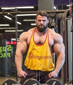 needsize:  Crazy thickness in this guys shoulders. Woof!Pavel Fedorov