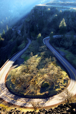 travelingcolors:  Winding Road in Oregon (by Daria Riabchenko)