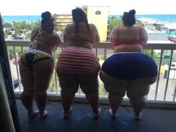realfatties: sadie-summers:  @sadie-summers @indiaivy #ssbbw #bbw #phatass #thickthighs  Who would you choose? 
