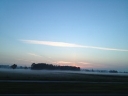 Sunrise in Germany this morning with a beautiful fog