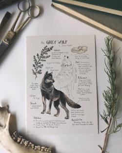wordsnquotes:  Romantic Illustrated Journal Pages by Lily Seika JonesGet them here!Keep reading