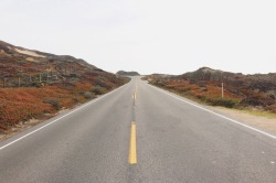 nuhstalgicsoul:  Road trippin’ through Highway 1  Big Sur, California 