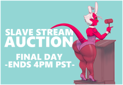 mr-pink-palooka:   Okay guys, just in case you haven’t heard, I’ve hit a bit of a snag financially so in a bid to dig myself out of a rather tight spot I’m going to be auctioning a single Guaranteed Slave Stream Slot in May  you can find the auction