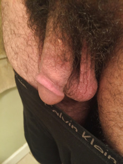 dudeswithpubes:  A beautiful hairy cock and relaxed nutsack