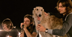 narciii:  noodle-dragon:  eencrawford:  look at this cool borzoi hanging out with some white dudes  lol that’s Pink Floyd  What a great name for a borzoi