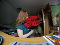 i don&rsquo;t like flowers , but i love red roses .