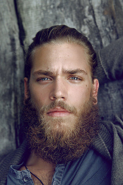 princesswhatevr:  dopest-ethiopian:  simplynatural86:  windowseattwo:  sincewhendoessheblog:  oh my god yes  damn  Jesus!  Ok  No blondes.Company policy.Dudes with beards and long hair tho :)))  Damn son