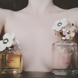 kittens-n-tits:  daisy tits by marc jacobs (aka look how fucking artsy I am, you guys :p)  follow my IG: maraschinokitten for more pretentious shit like this