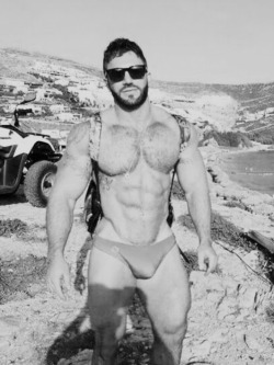 Muscular hairy pecs, great legs and arms, pubs sticking out of his speedos and the bulge makes this a perfect looking man - WOOF