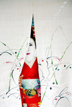thekimonogallery:  Geisha behind cotton ‘noren’ (Japanese specialized curtain).  Kyoto, Japan