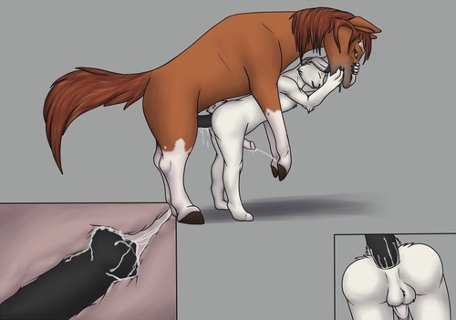 Gay furry horse sex dog cum