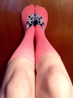 daddy-s-and-little-kitty:  Kitty cat socks~ 😻❤️~ Kitty :3